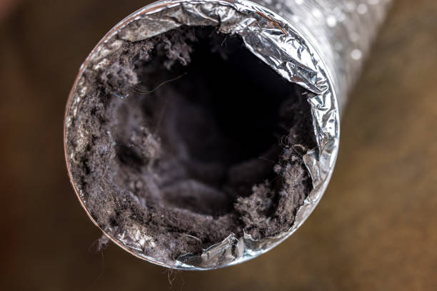 Best Home Air Vent Cleaning  in Sackets Harbor, NY